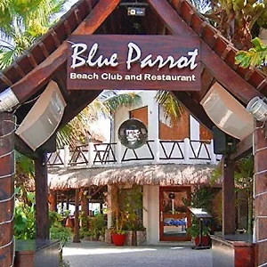 Blue Parrot **** Playa del Carmen